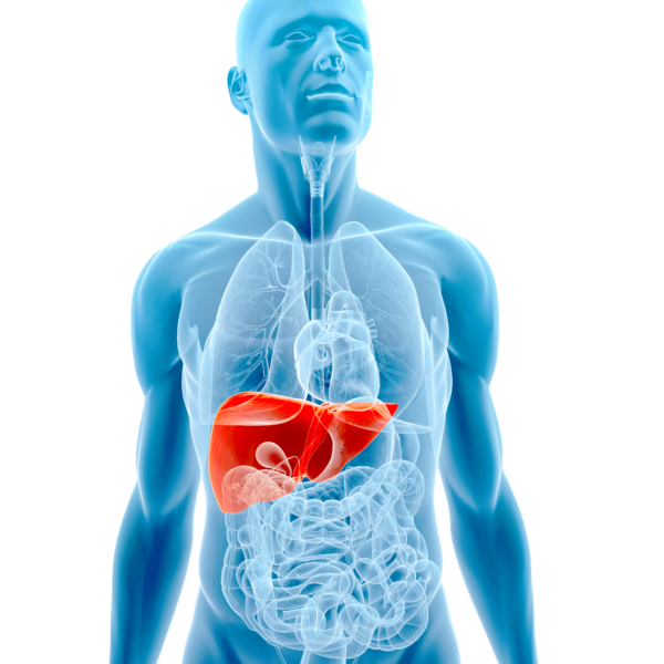 Best Liver Problems Doctors In Bhopal